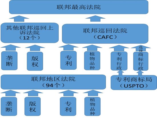 美国法院系统图解图片